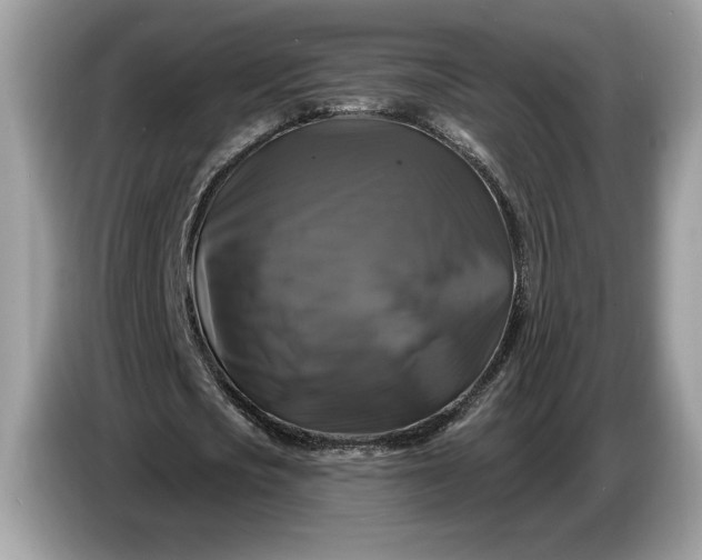 X0000086730721200704271630