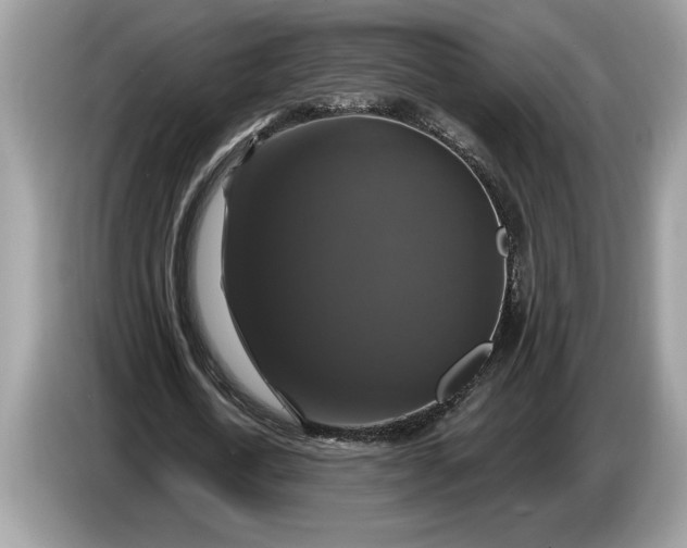 X0000086730722200704271630