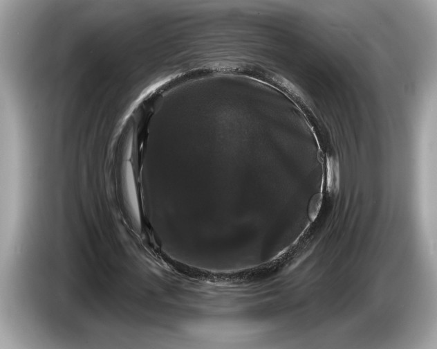 X0000086730723200704271630