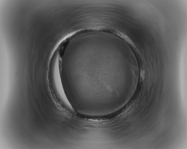 X0000086730724200704271630