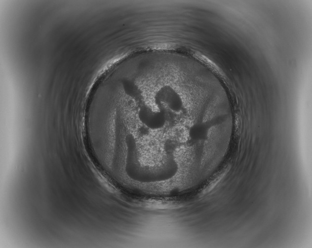 X0000086730725200704271630