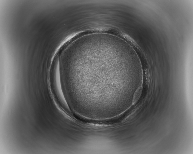 X0000086730726200704271630