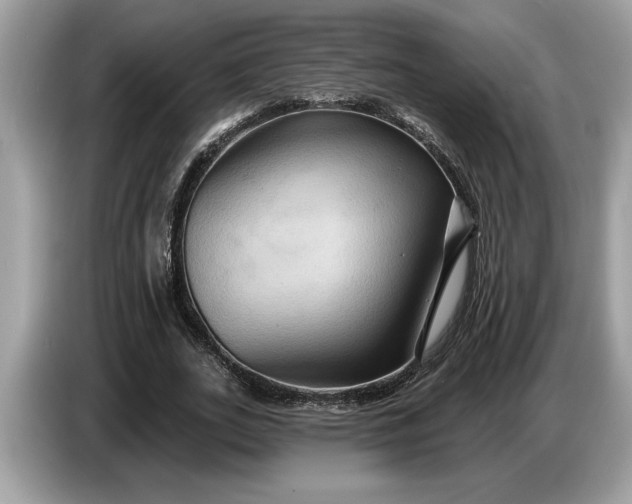 X0000086730727200704271630