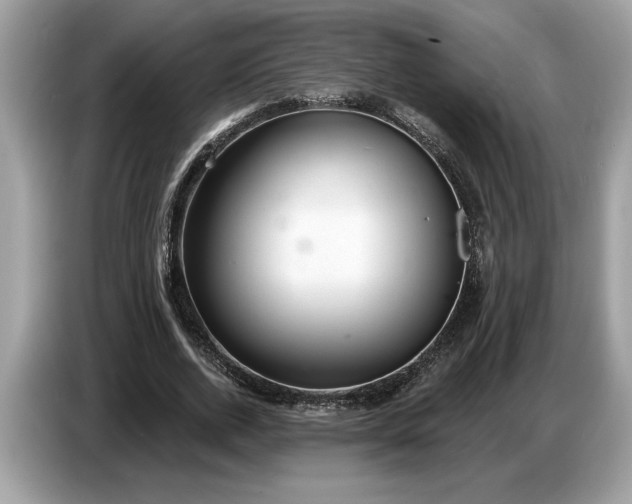 X0000086730728200704271630