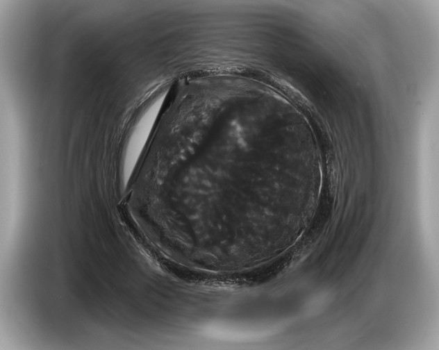 X0000086730729200704271630