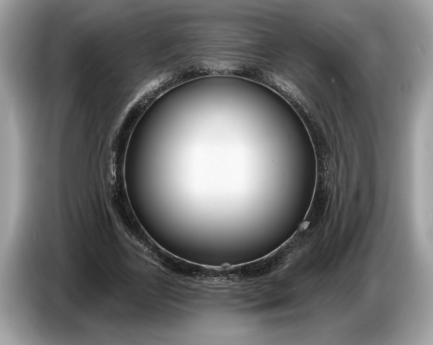 X0000086730731200704271630