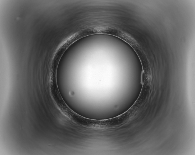 X0000086730732200704271630