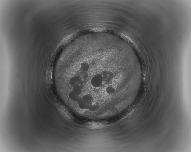 X0000086730733200704271630