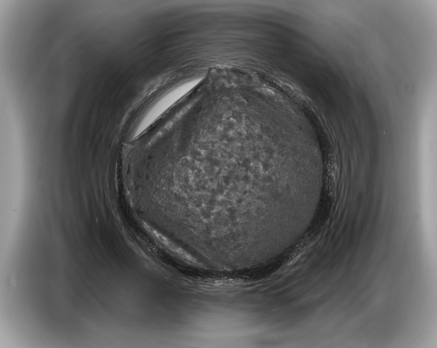 X0000086730734200704271630