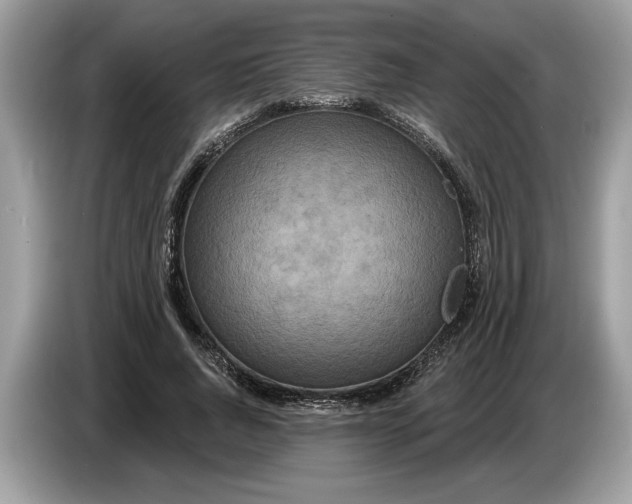 X0000086730736200704271630