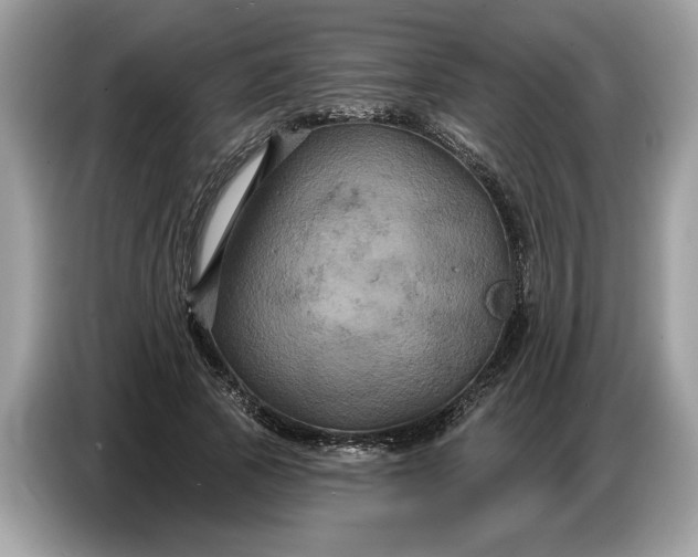 X0000086730737200704271630