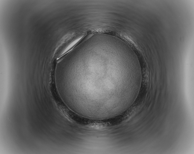 X0000086730738200704271630