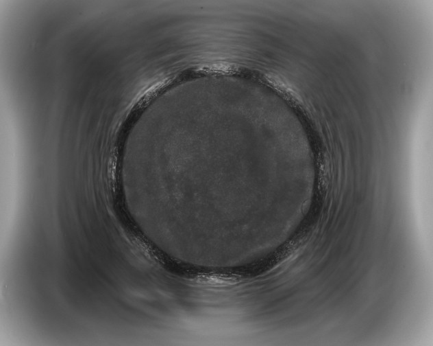 X0000086730739200704271630