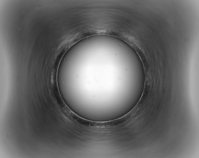 X0000086730740200704271630