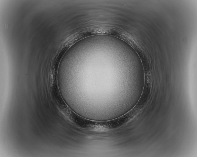 X0000086730741200704271630