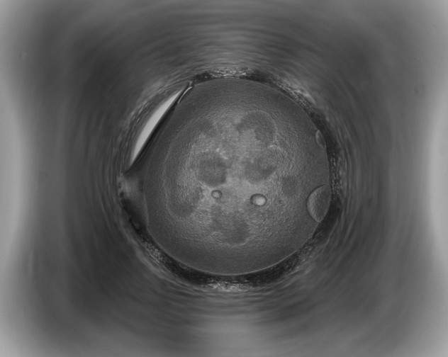 X0000086730742200704271630