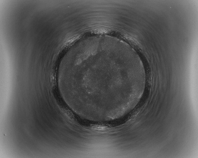 X0000086730743200704271630