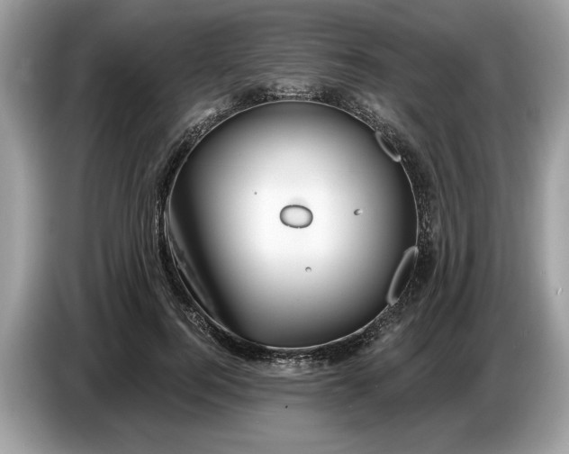 X0000086730744200704271630