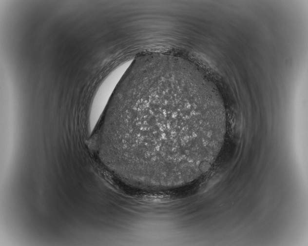 X0000086730745200704271630