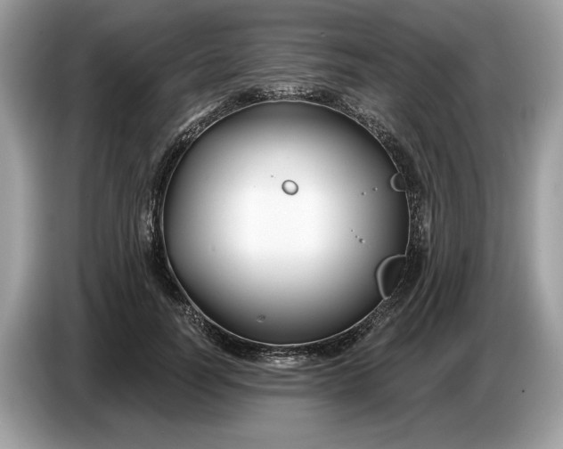 X0000086730746200704271630