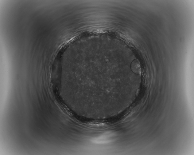 X0000086730747200704271630