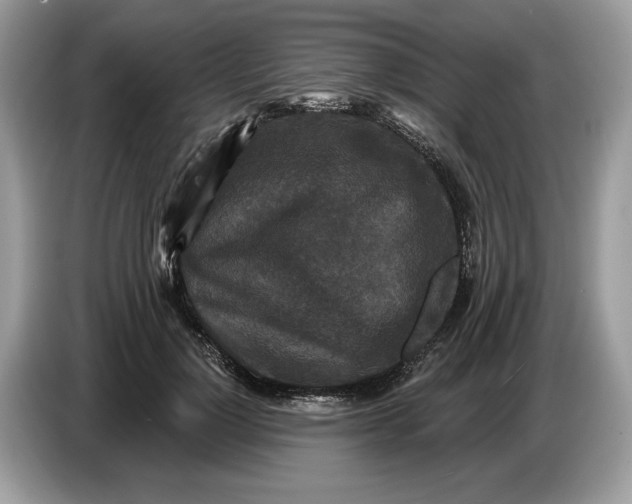 X0000086730748200704271630