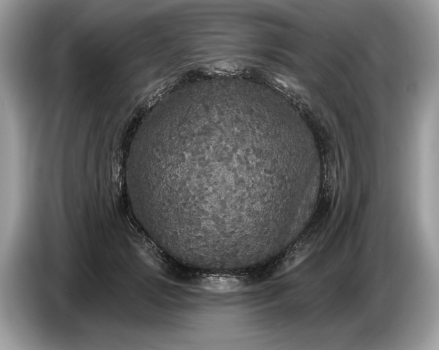 X0000086730749200704271630