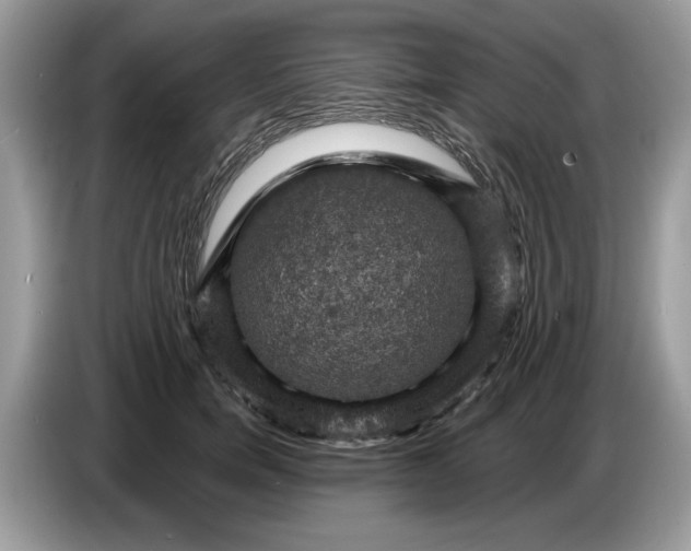 X0000086730750200704271630