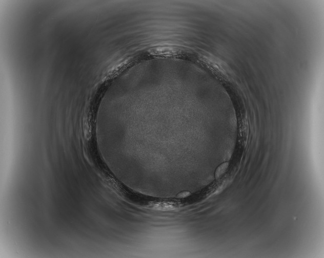 X0000086730751200704271630