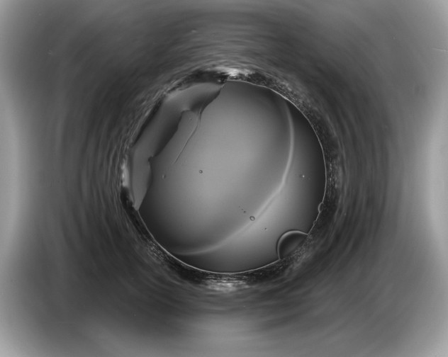 X0000086730754200704271630