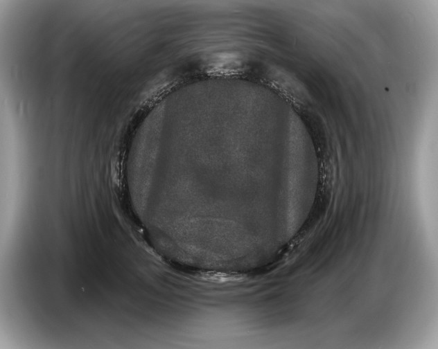 X0000086730755200704271630