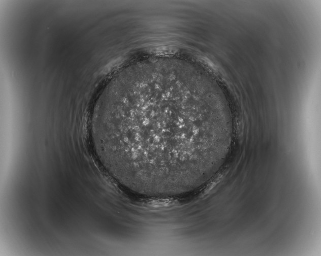 X0000086730757200704271630