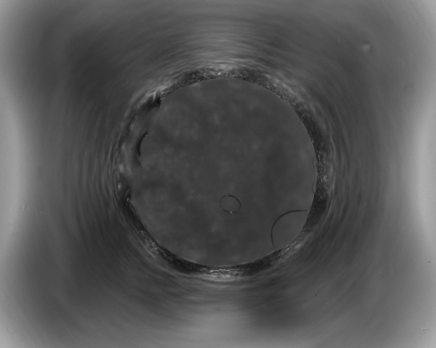 X0000086730758200704271630