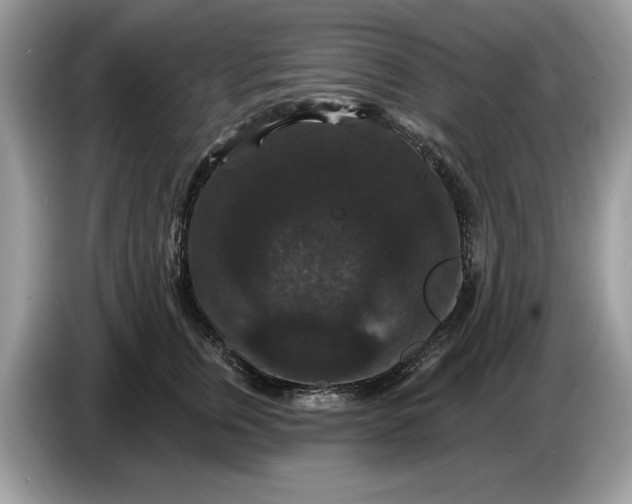 X0000086730759200704271630