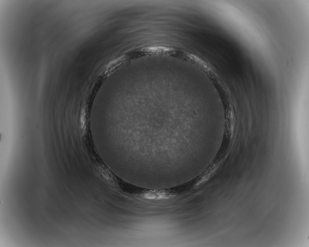 X0000086730762200704271630