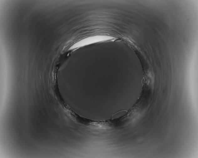 X0000086730763200704271630