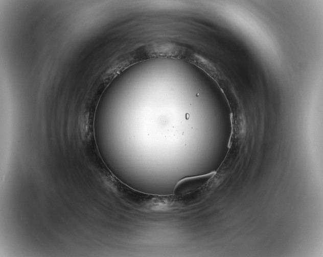 X0000086730764200704271630