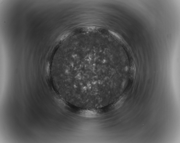 X0000086730765200704271630