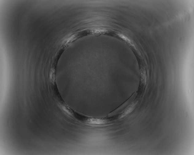 X0000086730766200704271630