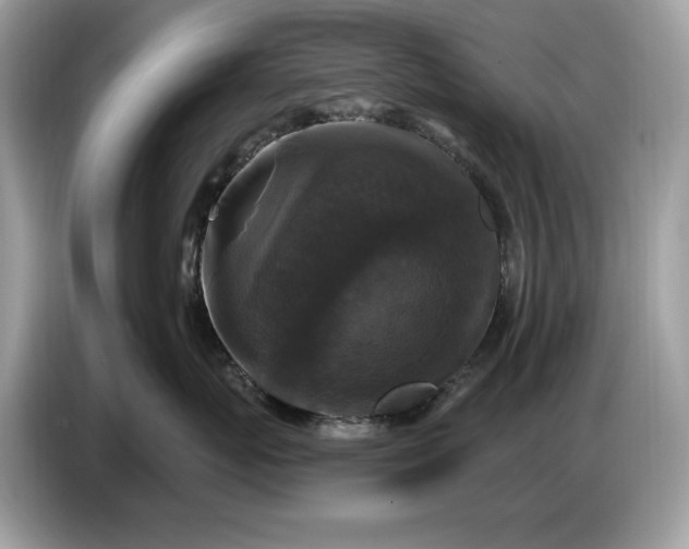 X0000086730767200704271630