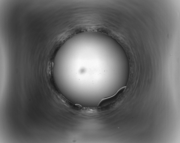 X0000086730768200704271630