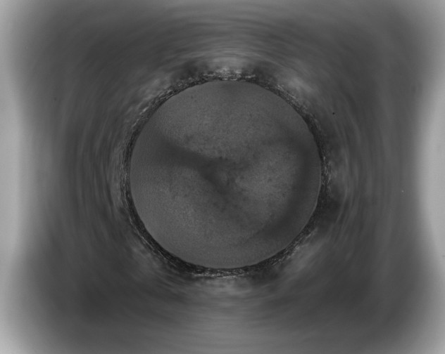 X0000086730769200704271630