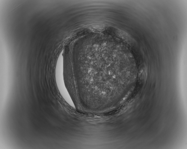 X0000086730772200704271630