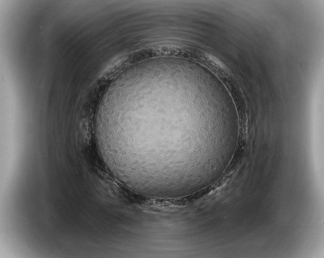 X0000086730774200704271630