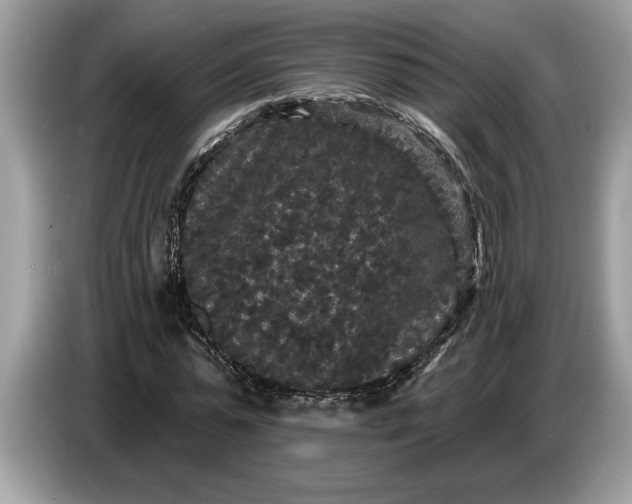 X0000086730775200704271630