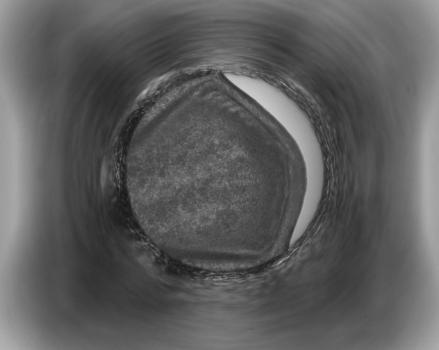 X0000086730776200704271630