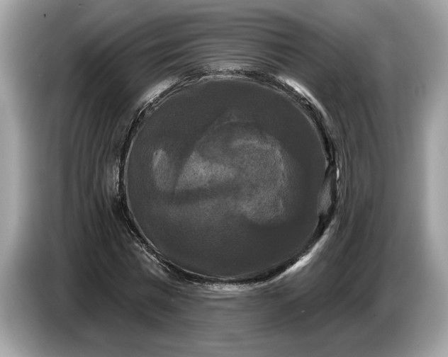 X0000086730777200704271630