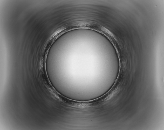 X0000086730778200704271630