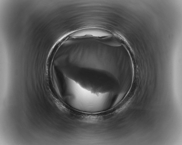 X0000086730779200704271630