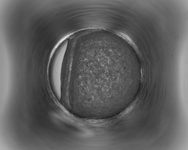 X0000086730780200704271630